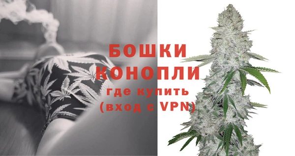 стаф Горняк