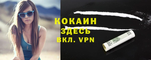 стаф Горняк