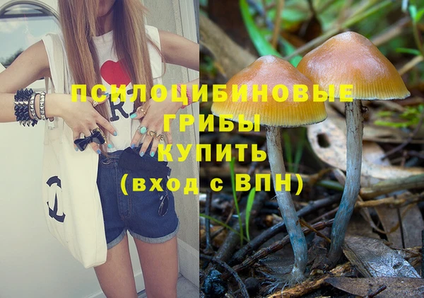 стаф Горняк