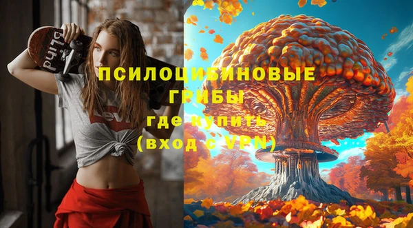 PSILOCYBIN Волоколамск